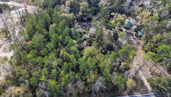 23276 HWY 42, Livingston, LA 70754