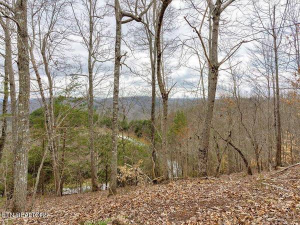 Lot 811 Creekside DR, New Tazewell, TN 37825