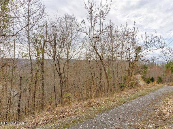 Lot 811 Creekside DR, New Tazewell, TN 37825