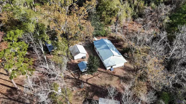 23276 HWY 42, Livingston, LA 70754