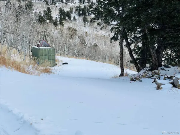 112 Mule Deer TRL, Idaho Springs, CO 80452