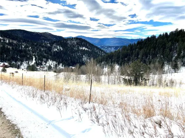 112 Mule Deer TRL, Idaho Springs, CO 80452