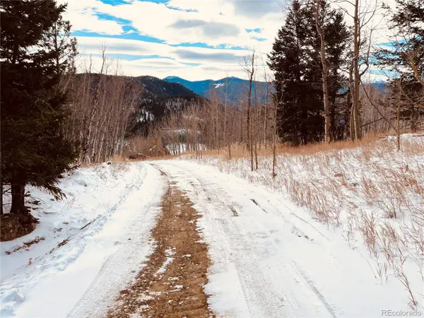 112 Mule Deer TRL, Idaho Springs, CO 80452