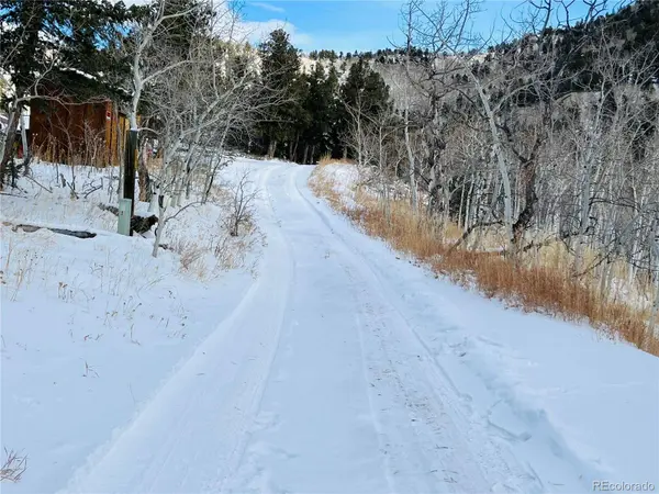 112 Mule Deer TRL, Idaho Springs, CO 80452