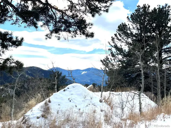 112 Mule Deer TRL, Idaho Springs, CO 80452