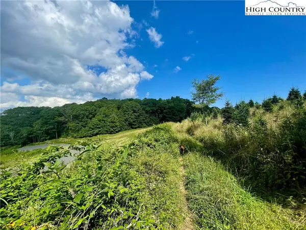 S19 Firestone CT, Banner Elk, NC 28604