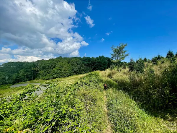 S19 Firestone CT #S19, Banner Elk, NC 28604