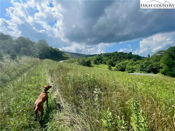 S19 Firestone CT, Banner Elk, NC 28604