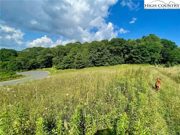 S19 Firestone CT, Banner Elk, NC 28604