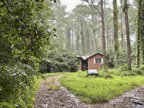 699 Carters Gin Road, Toney, AL 35773