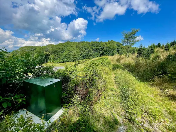 S19 Firestone CT #S19, Banner Elk, NC 28604