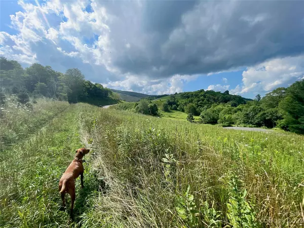 S19 Firestone CT #S19, Banner Elk, NC 28604