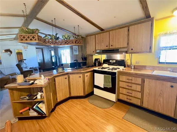 303 S Spice Wood TER, Lecanto, FL 34461