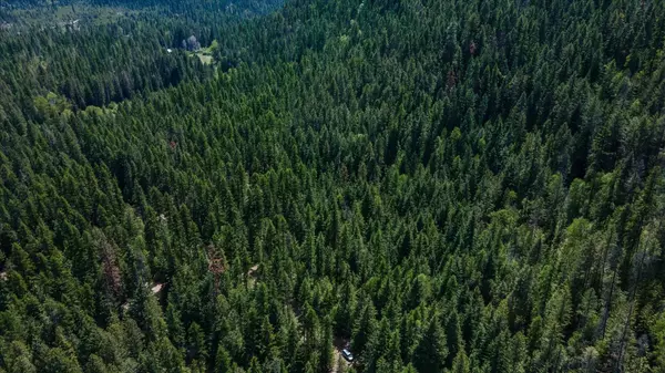 671 Osprey Dr, Cusick, WA 99119