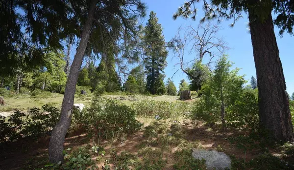 42473 Opal Lane #lot61, Shaver Lake, CA 93664