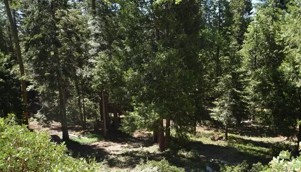 42506 Opal Lane #lot68, Shaver Lake, CA 93664