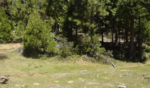 42101 Tourmaline Lane  #lot79, Shaver Lake, CA 93664