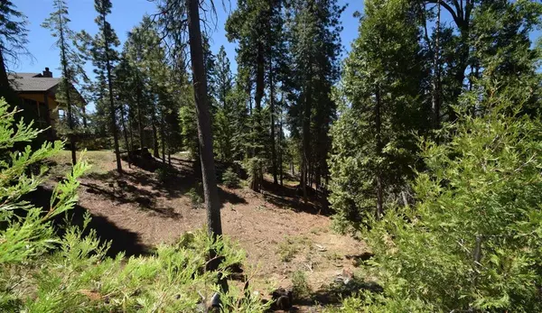 42568 Opal Lane #lot67, Shaver Lake, CA 93664
