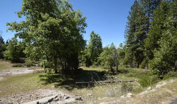 42302 Opal Lane  #lot72, Shaver Lake, CA 93664