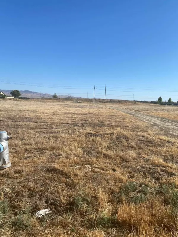 4 Willow Springs, Coalinga, CA 93210