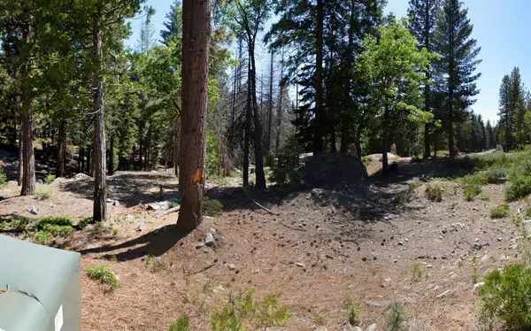 42473 Opal Lane  #63, Shaver Lake, CA 93664