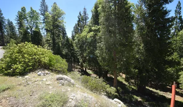 42506 Opal Lane #lot68, Shaver Lake, CA 93664