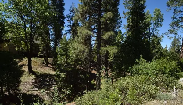 42568 Opal Lane #lot67, Shaver Lake, CA 93664