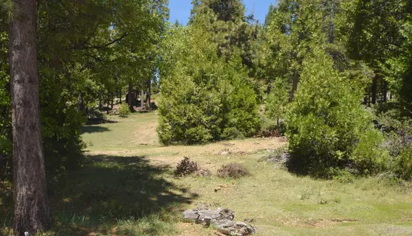42101 Tourmaline Lane  #lot79, Shaver Lake, CA 93664