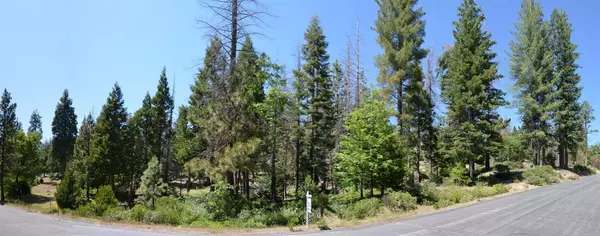 42473 Opal Lane  #63, Shaver Lake, CA 93664