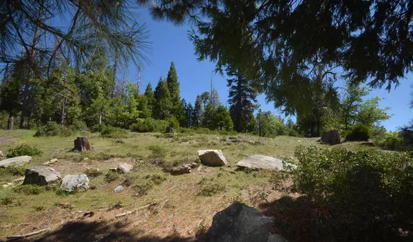 42473 Opal Lane #lot61, Shaver Lake, CA 93664