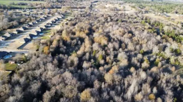 TBD (16.740 Acres) C R 152 W, Bullard, TX 75757