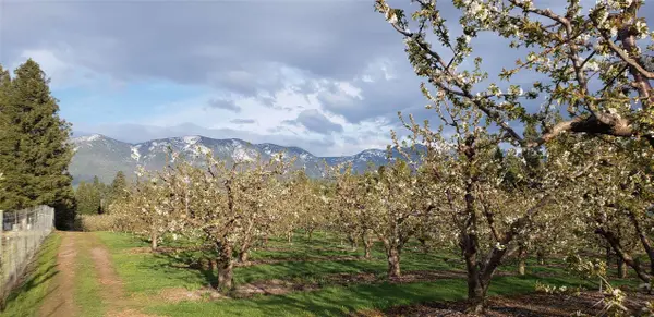 32624 S Finley Point RD, Polson, MT 59860