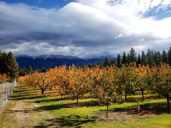 32624 S Finley Point RD, Polson, MT 59860