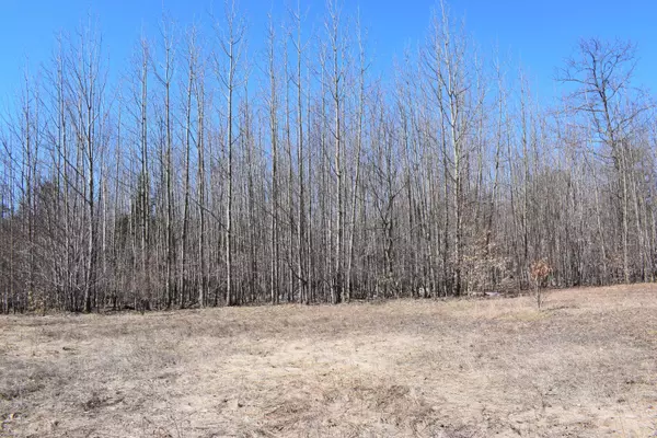 65 Opal Ridge Drive, Onekama, MI 49675