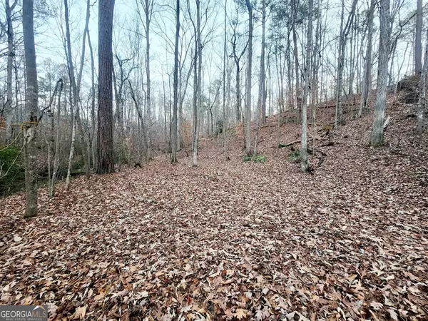 23 Royal Lake DR, Cartersville, GA 30120