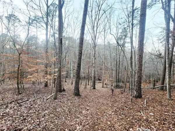 23 Royal Lake DR SE, Cartersville, GA 30120