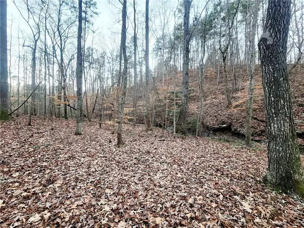 23 Royal Lake DR SE, Cartersville, GA 30120