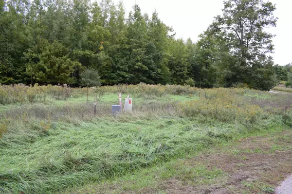 65 Opal Ridge Drive, Onekama, MI 49675