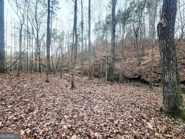 23 Royal Lake DR, Cartersville, GA 30120