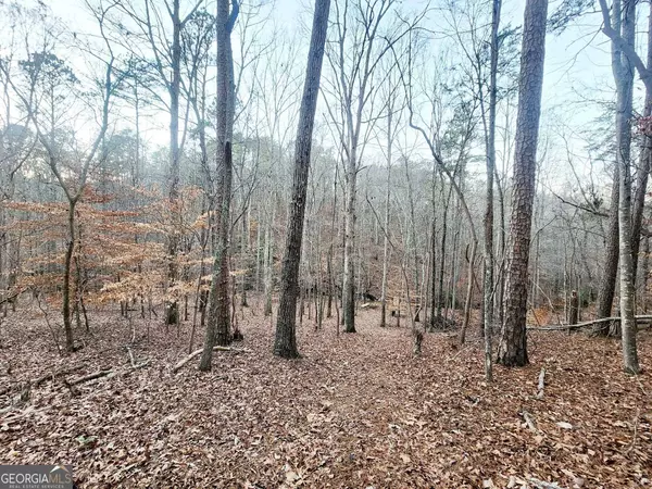 23 Royal Lake DR, Cartersville, GA 30120