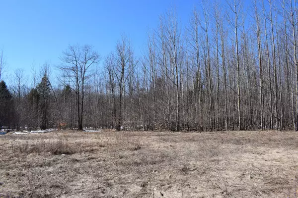 65 Opal Ridge Drive, Onekama, MI 49675