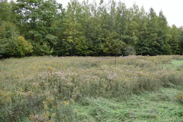 65 Opal Ridge Drive, Onekama, MI 49675