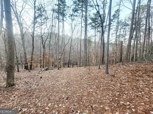 23 Royal Lake DR, Cartersville, GA 30120