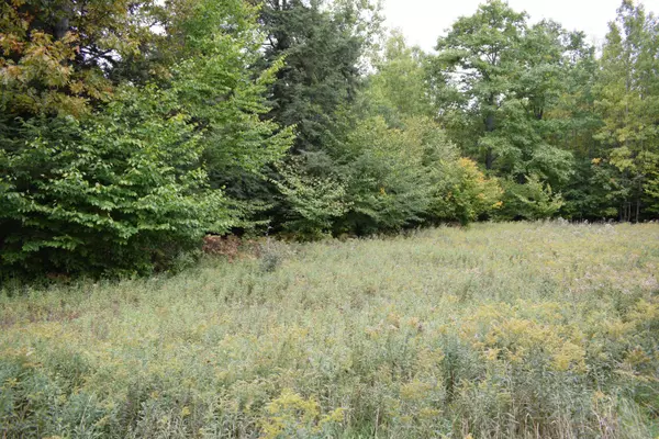 65 Opal Ridge Drive, Onekama, MI 49675