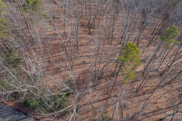 Lot 11 Foxwood DR #11, Tryon, NC 28782