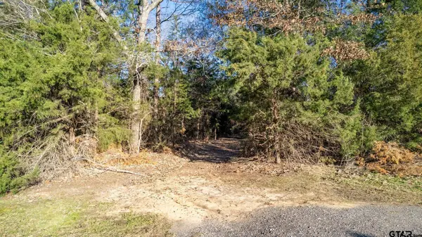 1480 county road 3811, Troup, TX 75789