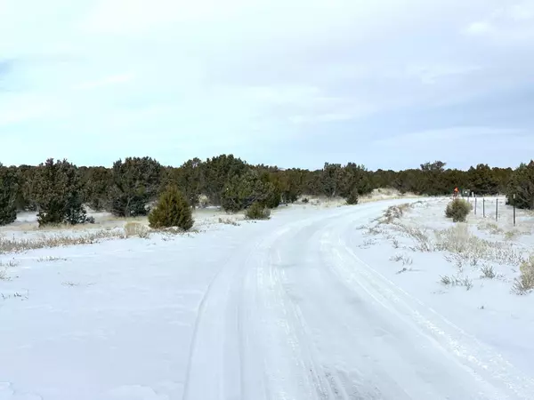 PARCEL # 01-0252-0003 #3, Beaver, UT 84713