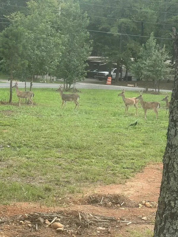 109 Morning Star Lane, Hot Springs, AR 71901-000