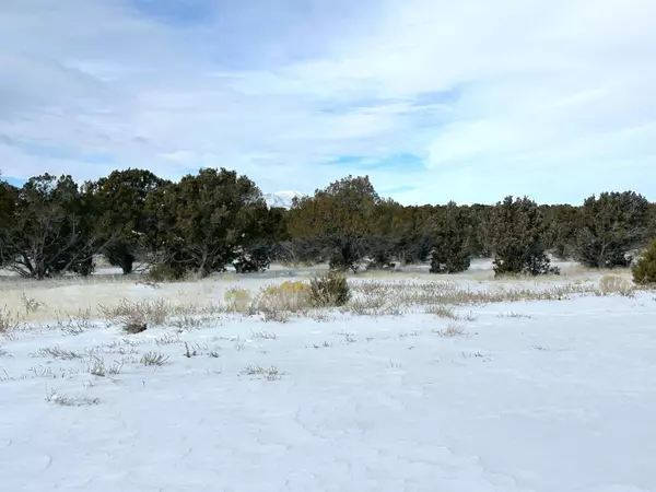 PARCEL # 01-0252-0003 #3, Beaver, UT 84713