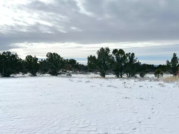 PARCEL # 01-0252-0003 #3, Beaver, UT 84713